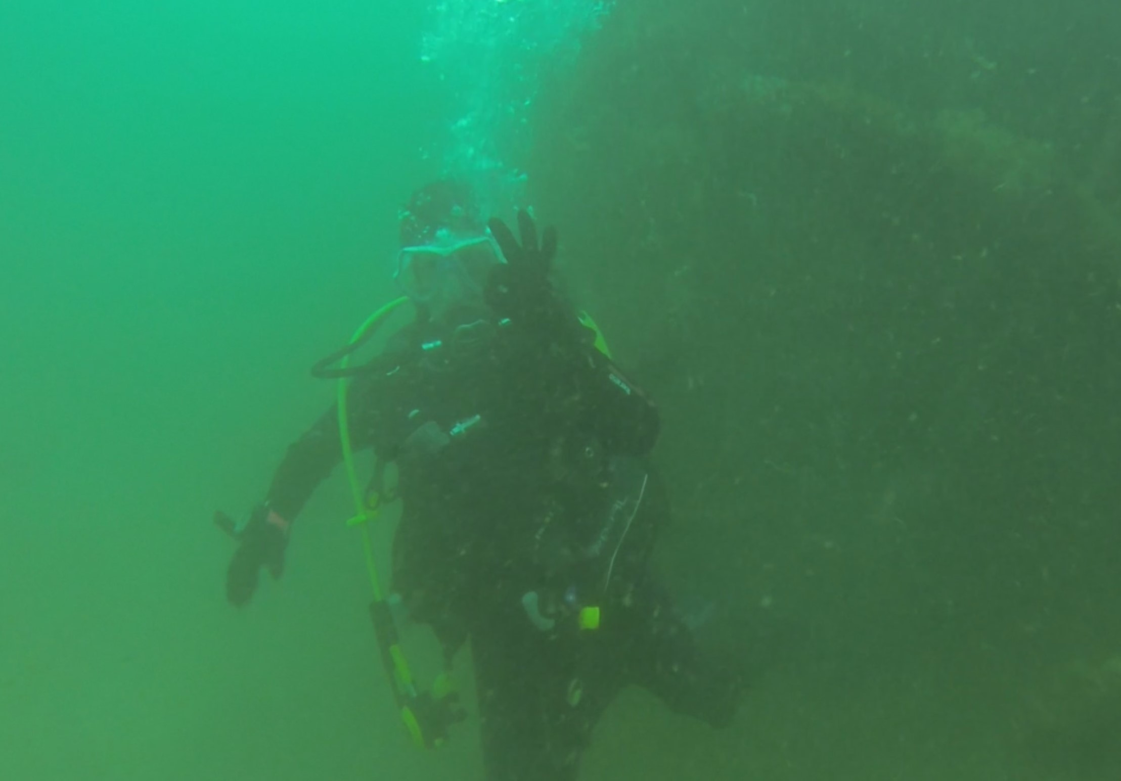 Recent Dives